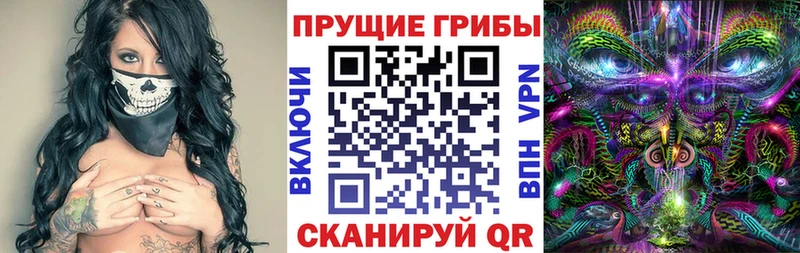 Галлюциногенные грибы Psilocybine cubensis  blacksprut ССЫЛКА  Судак 